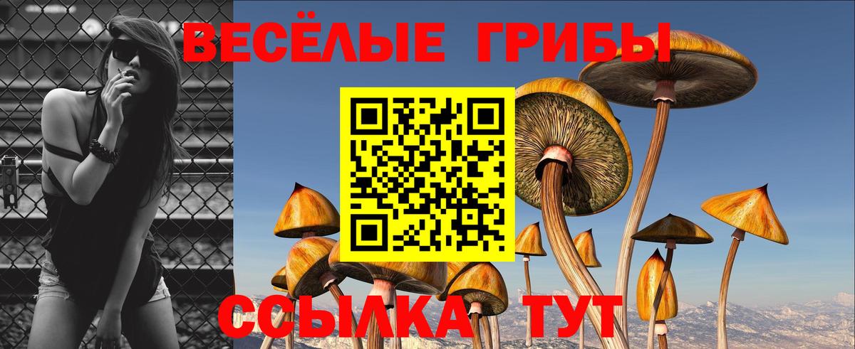 Новороссийск  Галлюциногенные грибы Psilocybine cubensis  Вход с VPN 