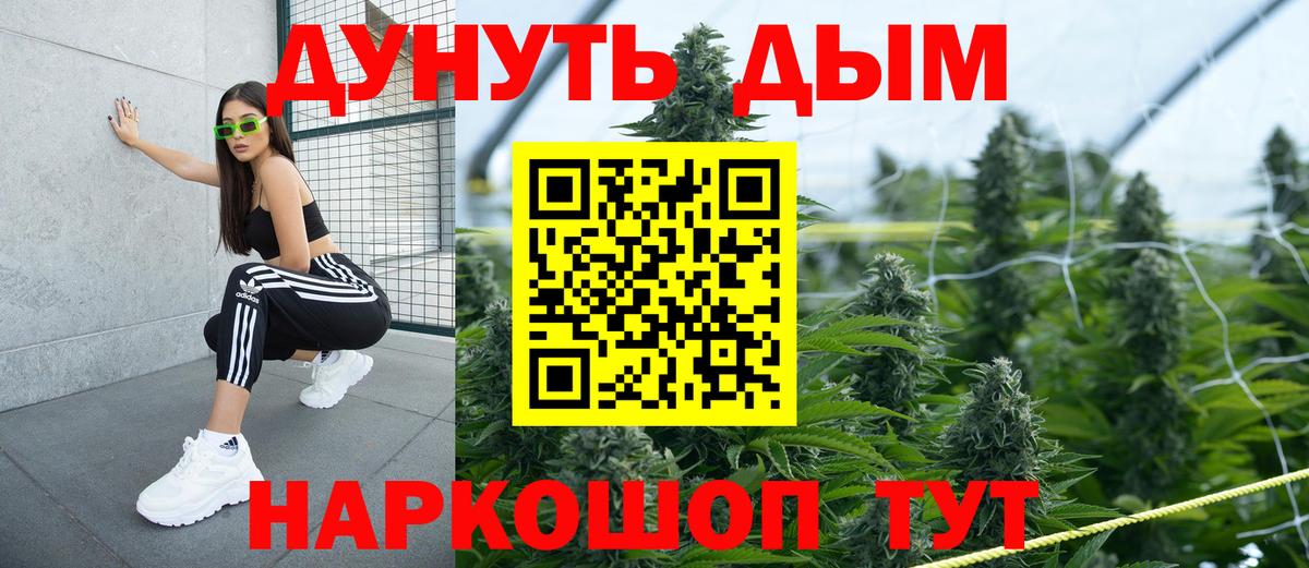 Бошки марихуана Bruce Banner Новороссийск